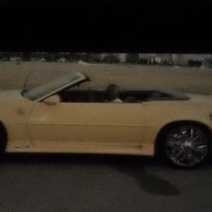 Meet your Posher, Darius